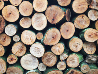 Timber background.