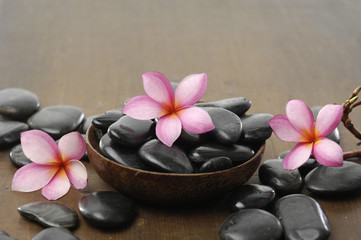 Still life with frangipani in bowl ,stones