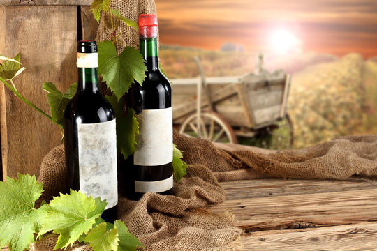 wine and farm