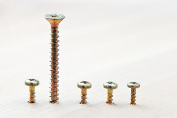 range of screws wrapped in wooden plank