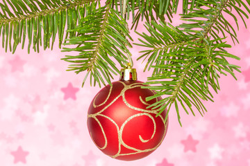 Red bauble on the fir branch