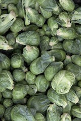 Fototapeta na wymiar brussel sprouts as tasty vegetable