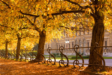 Autunno nei parchi di Monaco, Germania