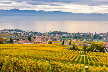 Vigne d'Autunno sul lago di Ginevra, Svizzera