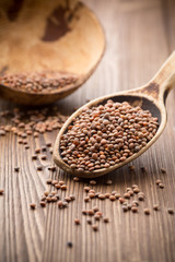 Lentil.