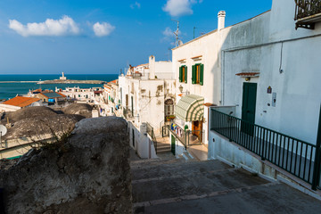 Vista di Vieste