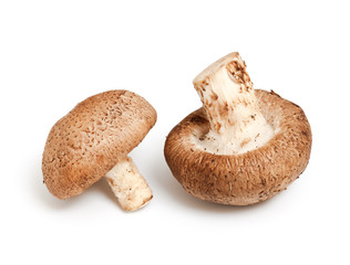 Mushrooms isolated on white background