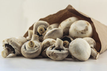 champignons