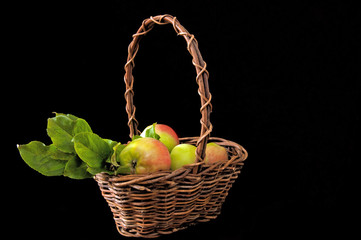 Apples in basket