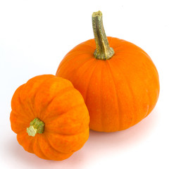 Kürbis