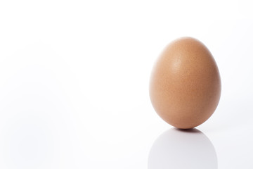 白背景に1個の卵