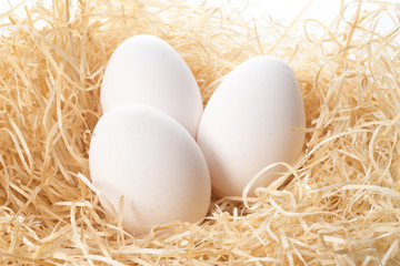 3個のニワトリの卵