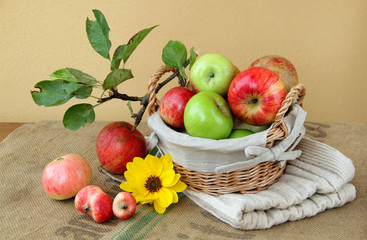 Dreierlei alter Apfelsorten