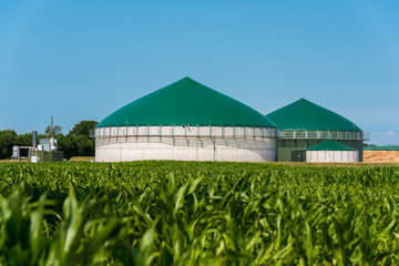 Biogas-Anlage mit Maisfeld 3085 - obrazy, fototapety, plakaty