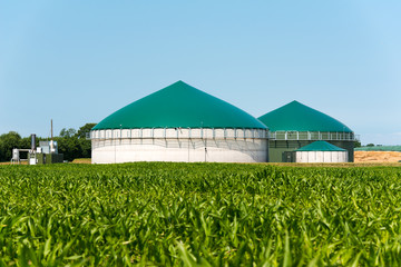 Biogas-Anlage mit Maisfeld 3096