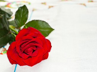 The dark red rose  on a cloth 3