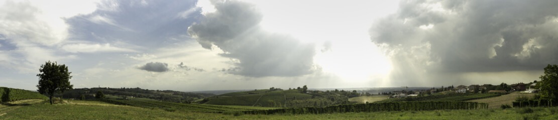 Fototapeta premium Panorama delle Langhe