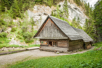 Fototapeta na wymiar cottage in the mountains
