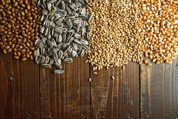 Fotobehang Agricultural grains © Bits and Splits