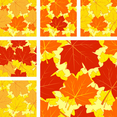 Autumnal seamless pattern with maple leaves. Set of six variants