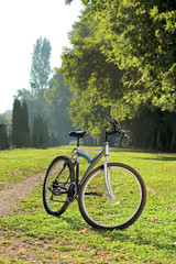 Fototapeta premium Bike in a park