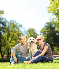 Smiling young couple hugging a labrador retreiver dog in a park