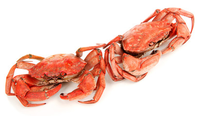 Boiled crabs isolated on white
