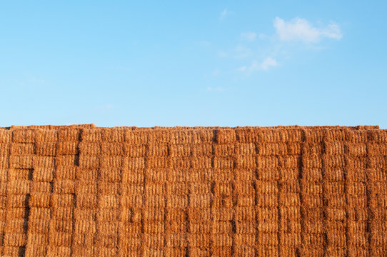 Many straw or hay bales stacked on a big pile