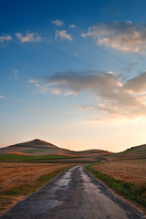 rural road betwen yellow fields of grain, freshly harvested