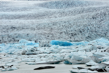 Iceland - Skaftafellsjökull  - Fjallsárlón glacier lake