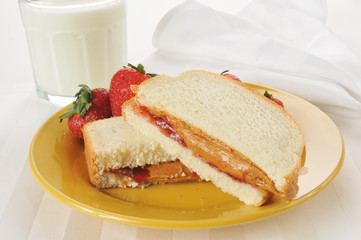 Peanut butter and jelly sandwich