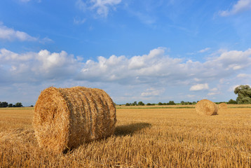 Fototapeta premium Hay bales
