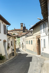 Fototapeta na wymiar Grazzano Badoglio (Monferrato)