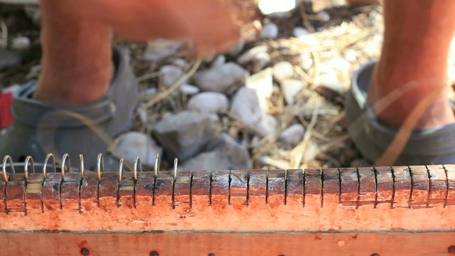 Longline hook preparation