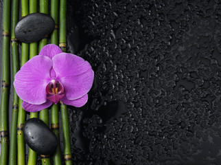 Obraz na płótnie Canvas orchid with two stones on bamboo grove on wet background