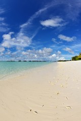 tropical beach landscape