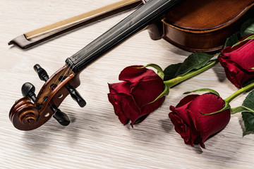 Fototapeta premium Violin, rose and music books