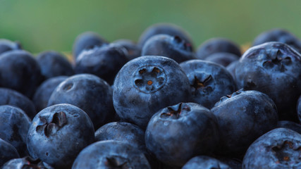 blueberries background