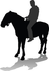 Vector silhouette of the rider on a horse