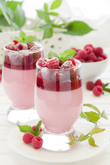 Raspberry dessert panna cotta, selective focus.