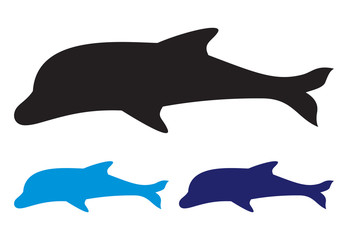 Dolphin