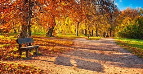 Foto auf Acrylglas Herbst Schöne herbstliche Szene