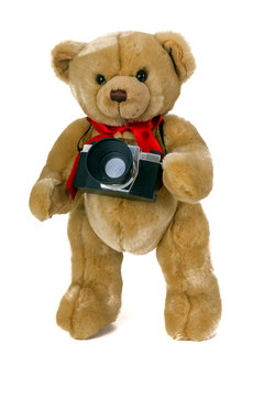 Toy bear with a camera