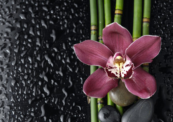 Red orchid and zen stones and thin bamboo grove