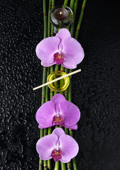 pink orchid and bamboo grove,massage oil,candle