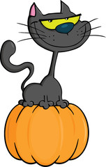 Black Cat On Pumpkin Cartoon Illustration