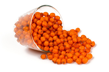 Sea-buckthorn berries