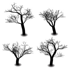 Four die tree silhouette on white background