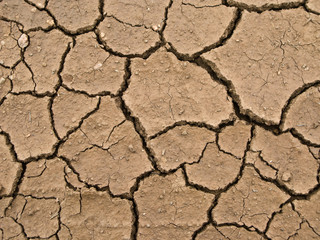dried and cracked earth - global warming danger