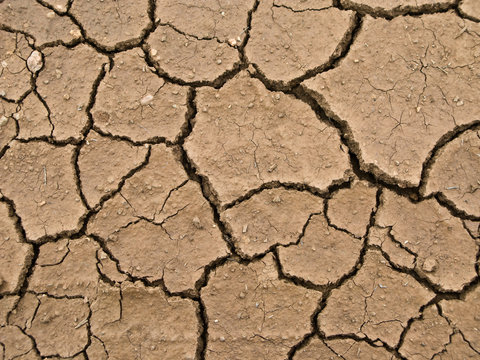 dried and cracked earth - global warming danger